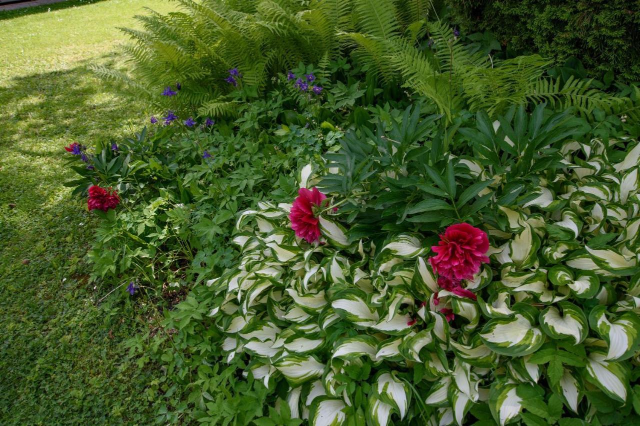 Garten Appartement Harmony Finkenstein am Faaker See Extérieur photo